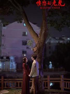 资质办理设计方案